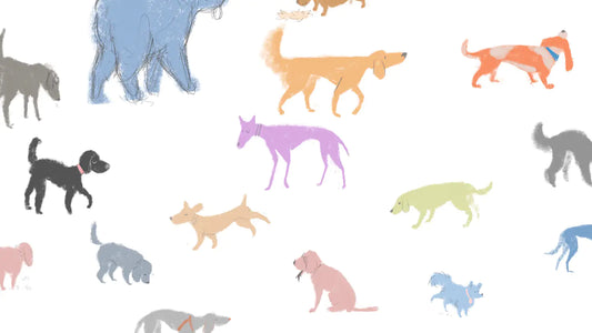 Drawing dogs in Holland Park, all shapes and sizes
