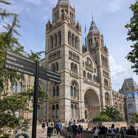 Sketching at the Natural History Museum Gardens