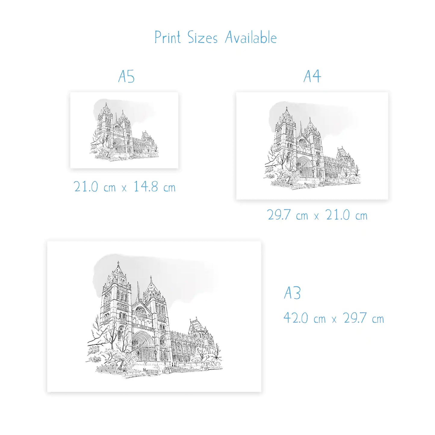Dimensions for prints of London's Natural History Museum beautifully sketched by Mike Green Illustration