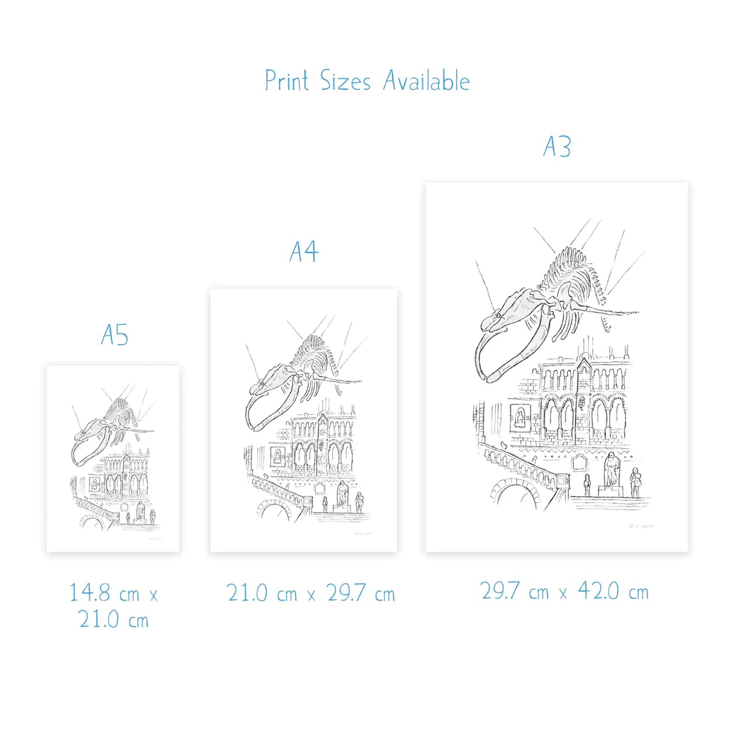Dimensions for art print of Hope at the Natural History Museum London sketched by Mike Green Illustration