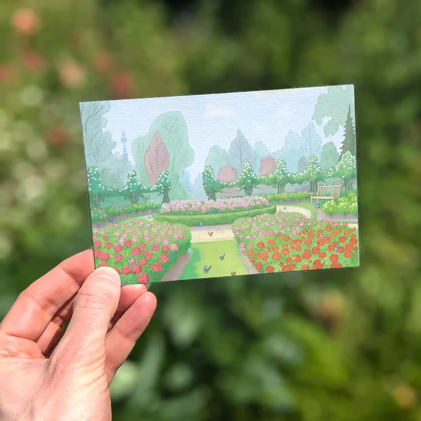 Illustration of Queen Mary's Rose Garden in London's Regents Park on a greetings card