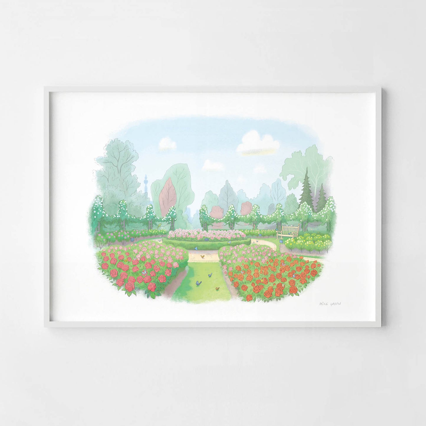 Framed print of London's Queen Mary's Rose Garden in Regents Park painted by Mike Green Illustration