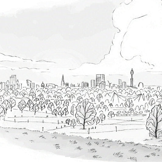 Detail from a print of the view from primrose hill London sketched by Mike Green.
