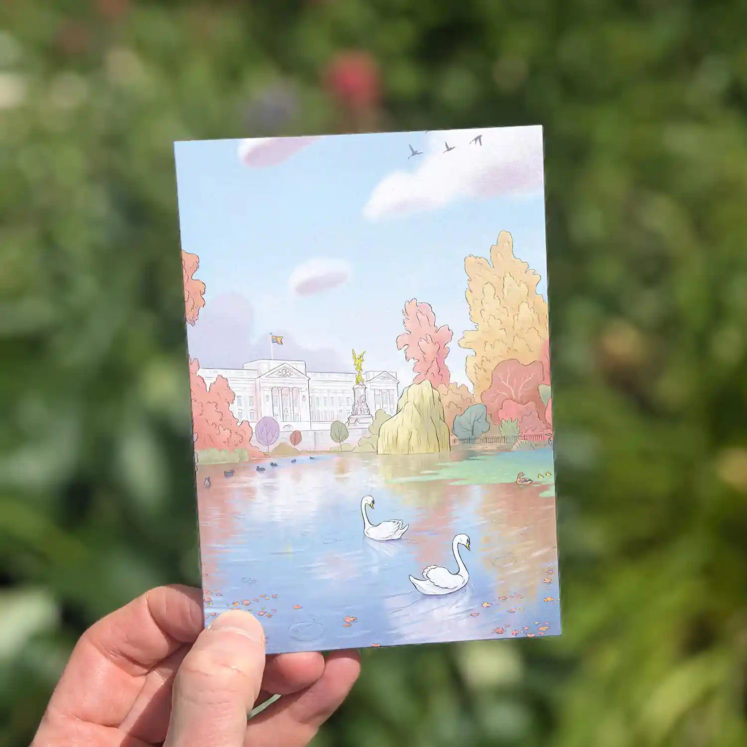 London's Buckingham Palace from St James Park with swans on the lake beautifully illustrated on a greeting card by mike green illustration.