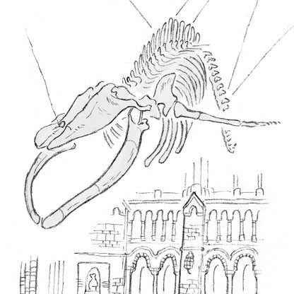 'Hope' at the Natural History Museum sketch London Print